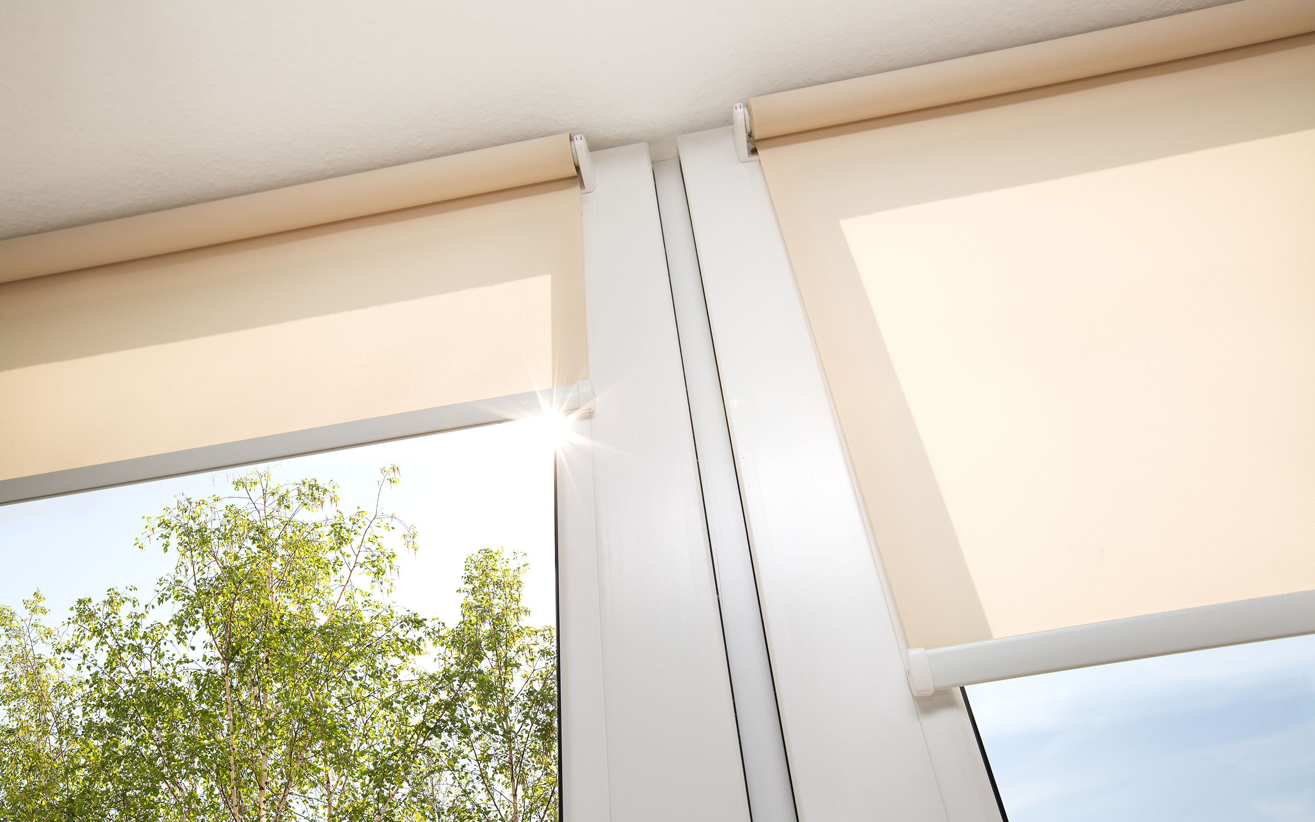 A bright window with light beige roller shades partially covering window facing green tree and sun